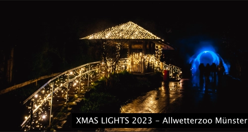 XMAS LIGHTS 2023 - Allwetterzoo Münster